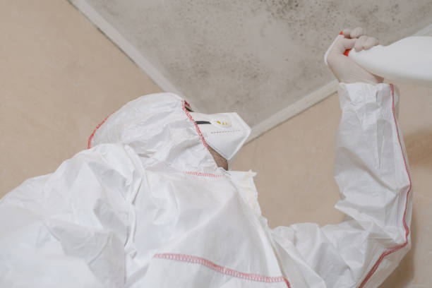 Best Emergency Mold Removal  in Mount Pleasant, WI